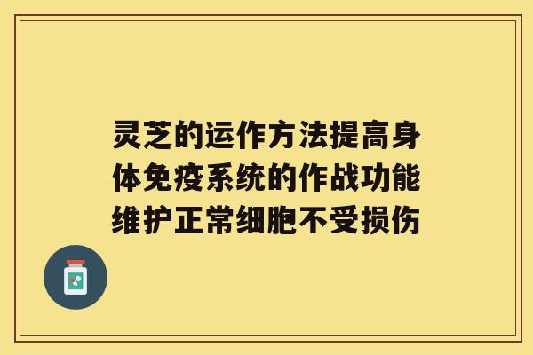 灵芝的运作方法提高身体免疫系统的作战功能维护正常细胞不受损伤