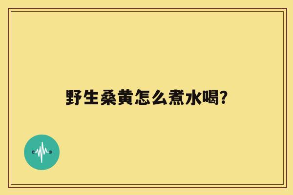 野生桑黄怎么煮水喝？