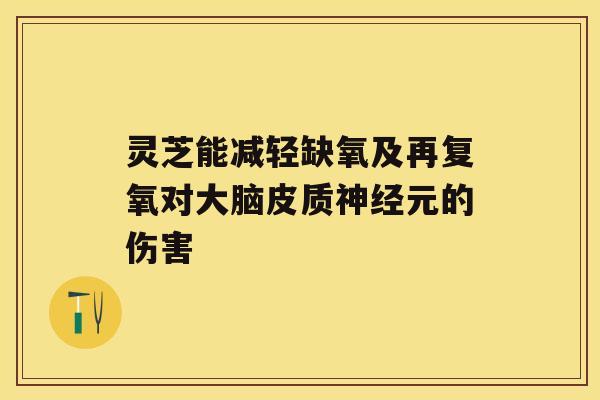 灵芝能减轻缺氧及再复氧对大脑皮质元的伤害