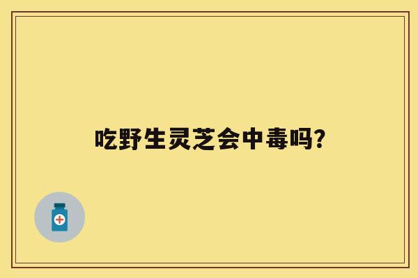 吃野生灵芝会中毒吗？