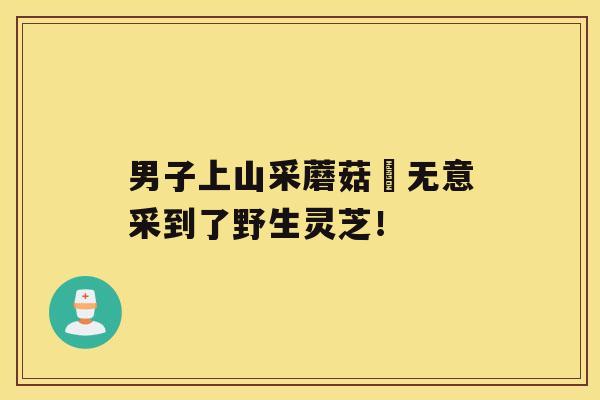 男子上山采蘑菇 无意采到了野生灵芝！