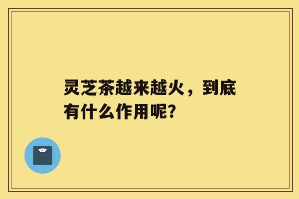 灵芝茶越来越火，到底有什么作用呢？