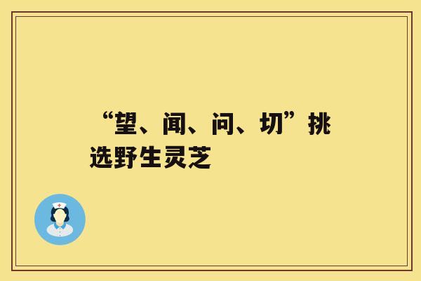 “望、闻、问、切”挑选野生灵芝