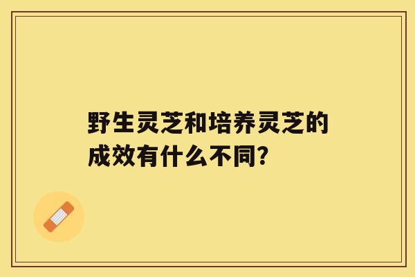 野生灵芝和培养灵芝的成效有什么不同？