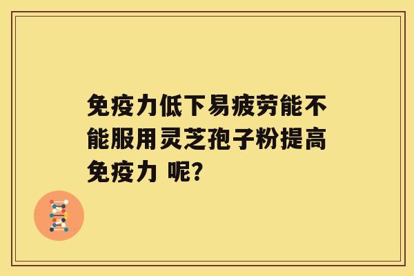 免疫力低下易疲劳能不能服用灵芝孢子粉提高免疫力 呢？