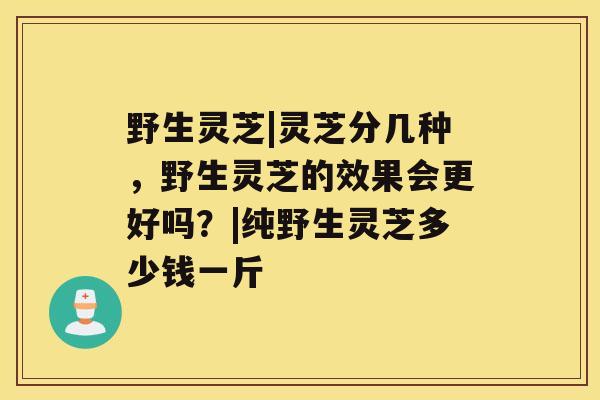 野生灵芝|灵芝分几种，野生灵芝的效果会更好吗？|纯野生灵芝多少钱一斤