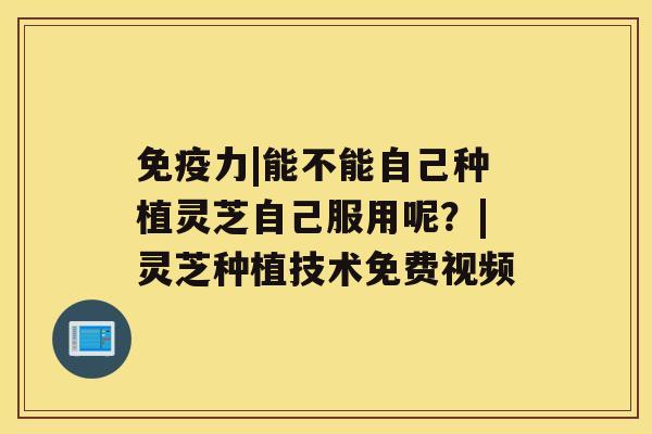 免疫力|能不能自己种植灵芝自己服用呢？|灵芝种植技术免费视频