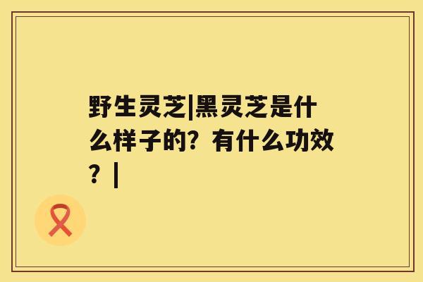 野生灵芝|黑灵芝是什么样子的？有什么功效？|