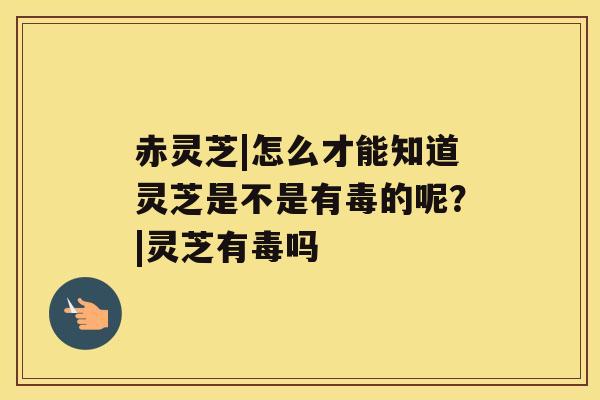 赤灵芝|怎么才能知道灵芝是不是有毒的呢？|灵芝有毒吗