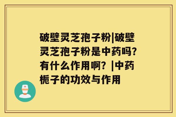 破壁灵芝孢子粉|破壁灵芝孢子粉是中药吗？有什么作用啊？|中药栀子的功效与作用