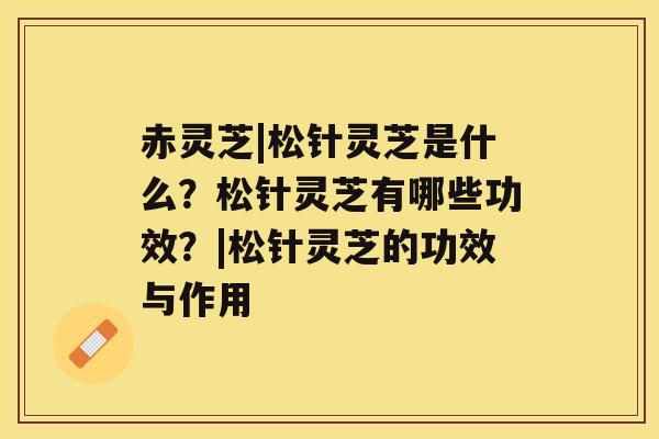 赤灵芝|松针灵芝是什么？松针灵芝有哪些功效？|松针灵芝的功效与作用