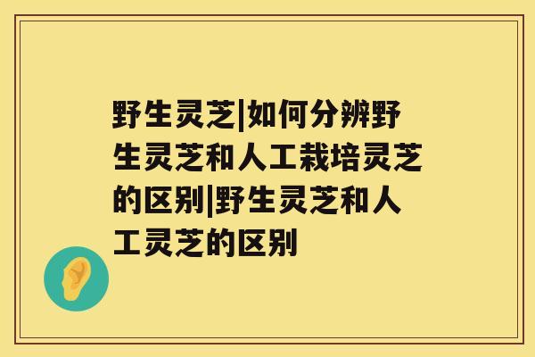 野生灵芝|如何分辨野生灵芝和人工栽培灵芝的区别|野生灵芝和人工灵芝的区别