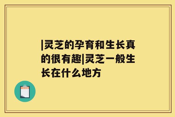 |灵芝的孕育和生长真的很有趣|灵芝一般生长在什么地方