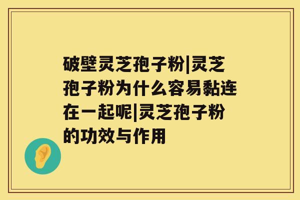 破壁灵芝孢子粉|灵芝孢子粉为什么容易黏连在一起呢|灵芝孢子粉的功效与作用