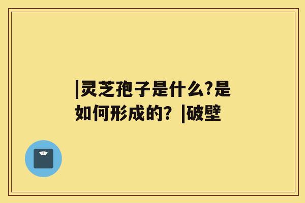 |灵芝孢子是什么?是如何形成的？|破壁