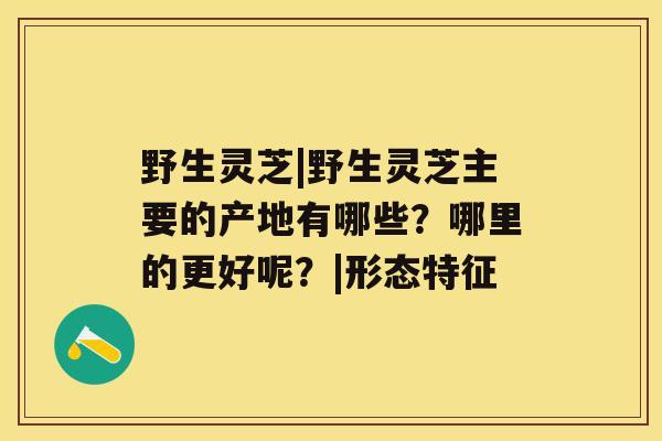 野生灵芝|野生灵芝主要的产地有哪些？哪里的更好呢？|形态特征