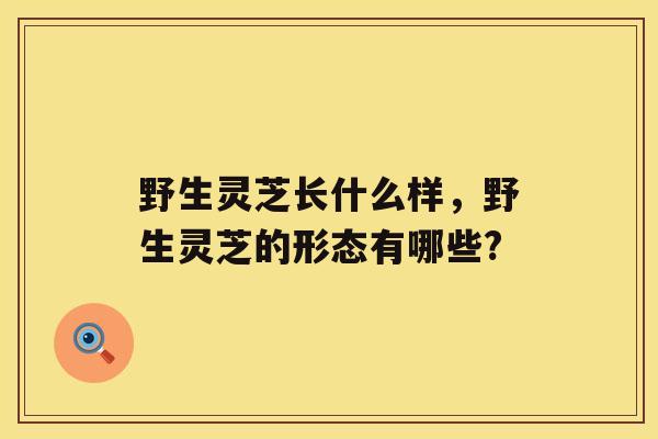 野生灵芝长什么样，野生灵芝的形态有哪些?