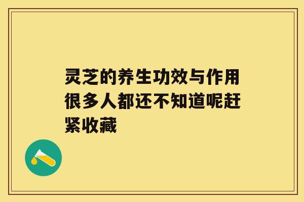 灵芝的养生功效与作用很多人都还不知道呢赶紧收藏