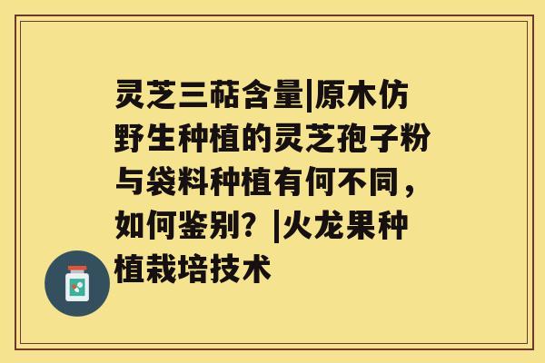 灵芝三萜含量|原木仿野生种植的灵芝孢子粉与袋料种植有何不同，如何鉴别？|火龙果种植栽培技术