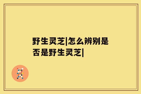 野生灵芝|怎么辨别是否是野生灵芝|