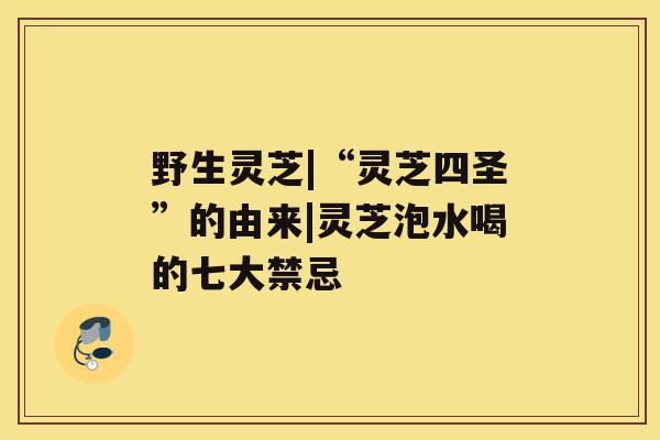 野生灵芝|“灵芝四圣”的由来|灵芝泡水喝的七大禁忌 野生灵芝|“灵芝四圣”的由来|灵芝泡水喝的七大禁忌
