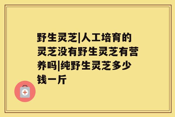 野生灵芝|人工培育的灵芝没有野生灵芝有营养吗|纯野生灵芝多少钱一斤 野生灵芝|人工培育的灵芝没有野生灵芝有营养吗|纯野生灵芝多少钱一斤