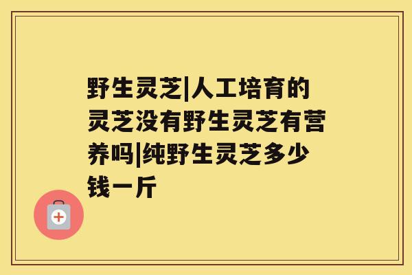 野生灵芝|人工培育的灵芝没有野生灵芝有营养吗|纯野生灵芝多少钱一斤