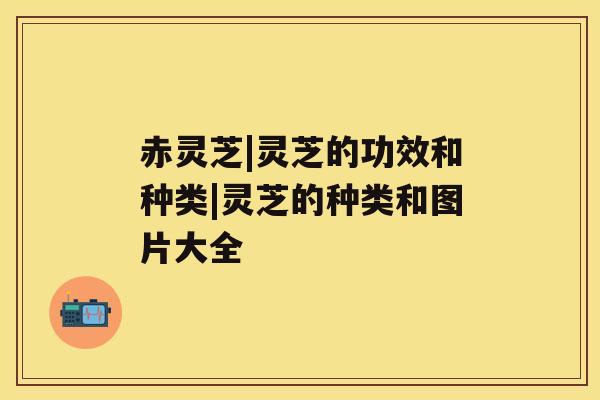 赤灵芝|灵芝的功效和种类|灵芝的种类和图片大全 赤灵芝|灵芝的功效和种类|灵芝的种类和图片大全