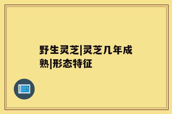 野生灵芝|灵芝几年成熟|形态特征 野生灵芝|灵芝几年成熟|形态特征
