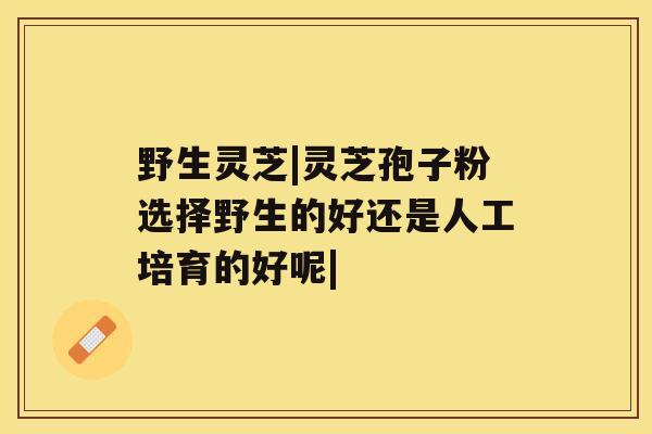 野生灵芝|灵芝孢子粉选择野生的好还是人工培育的好呢| 野生灵芝|灵芝孢子粉选择野生的好还是人工培育的好呢|