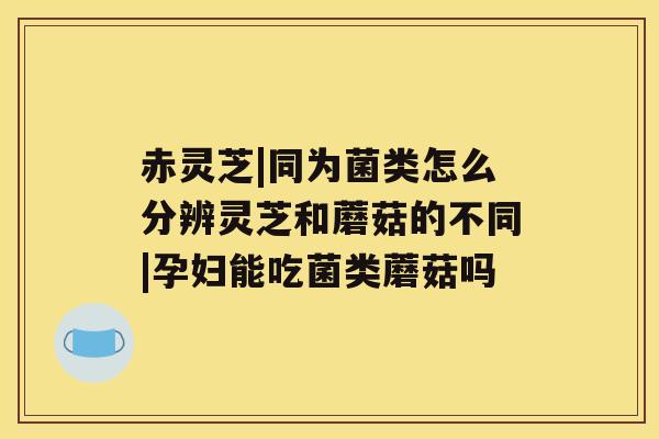 赤灵芝|同为菌类怎么分辨灵芝和蘑菇的不同|孕妇能吃菌类蘑菇吗 赤灵芝|同为菌类怎么分辨灵芝和蘑菇的不同|孕妇能吃菌类蘑菇吗