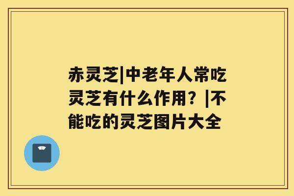 赤灵芝|中老年人常吃灵芝有什么作用?|不能吃的灵芝图片大全 赤灵芝|中老年人常吃灵芝有什么作用?|不能吃的灵芝图片大全