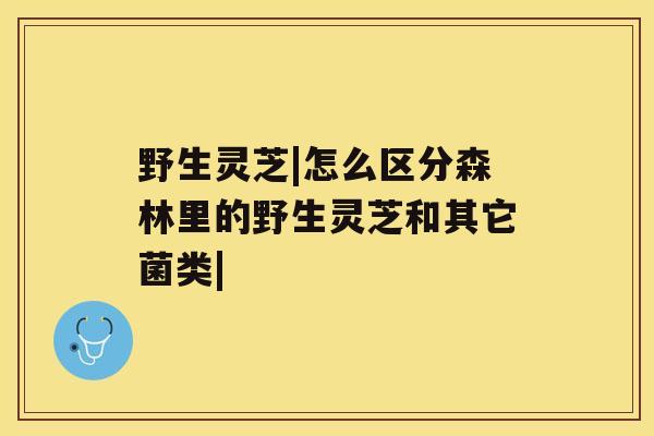 野生灵芝|怎么区分森林里的野生灵芝和其它菌类| 野生灵芝|怎么区分森林里的野生灵芝和其它菌类|