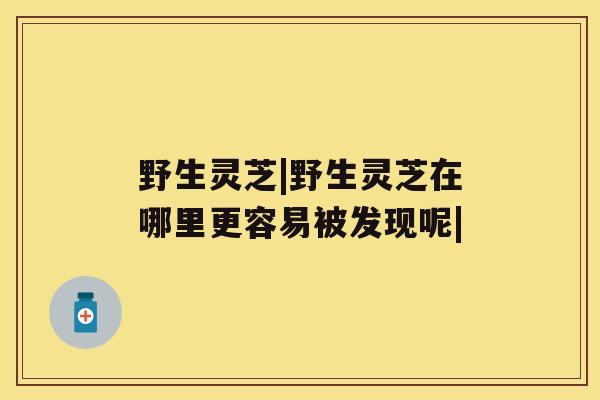 野生灵芝|野生灵芝在哪里更容易被发现呢| 野生灵芝|野生灵芝在哪里更容易被发现呢|