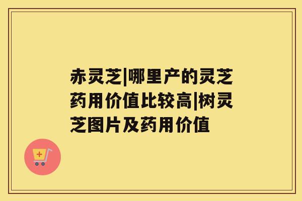 赤灵芝|哪里产的灵芝药用价值比较高|树灵芝图片及药用价值 赤灵芝|哪里产的灵芝药用价值比较高|树灵芝图片及药用价值