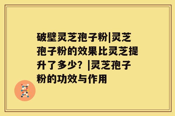 破壁灵芝孢子粉|灵芝孢子粉的效果比灵芝提升了多少？|灵芝孢子粉的功效与作用