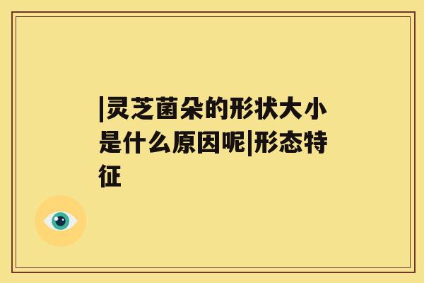 |灵芝菌朵的形状大小是什么原因呢|形态特征 |灵芝菌朵的形状大小是什么原因呢|形态特征