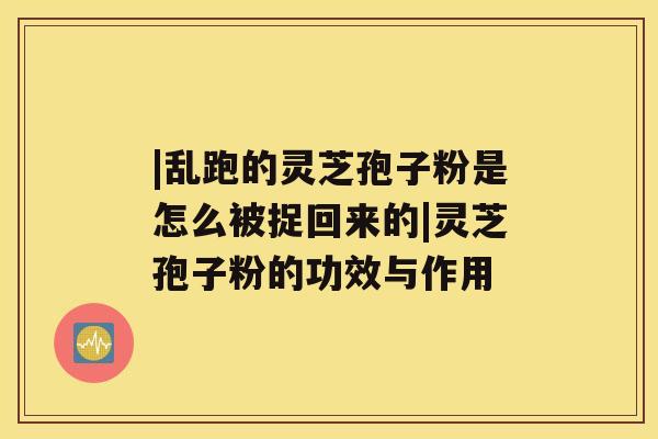 |乱跑的灵芝孢子粉是怎么被捉回来的|灵芝孢子粉的功效与作用 |乱跑的灵芝孢子粉是怎么被捉回来的|灵芝孢子粉的功效与作用