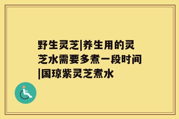 野生灵芝|养生用的灵芝水需要多煮一段时间|国琼紫灵芝煮水 野生灵芝|养生用的灵芝水需要多煮一段时间|国琼紫灵芝煮水