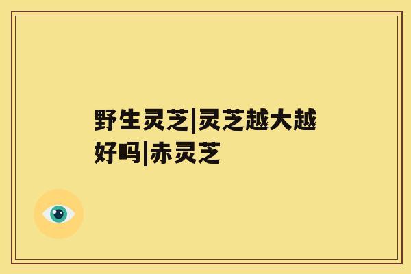野生灵芝|灵芝越大越好吗|赤灵芝 野生灵芝|灵芝越大越好吗|赤灵芝