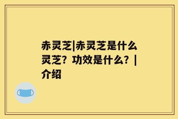 赤灵芝|赤灵芝是什么灵芝?功效是什么?|介绍 赤灵芝|赤灵芝是什么灵芝?功效是什么?|介绍