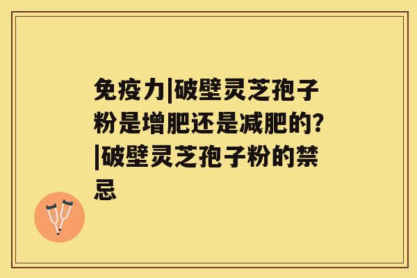 免疫力|破壁灵芝孢子粉是增肥还是的？|破壁灵芝孢子粉的禁忌