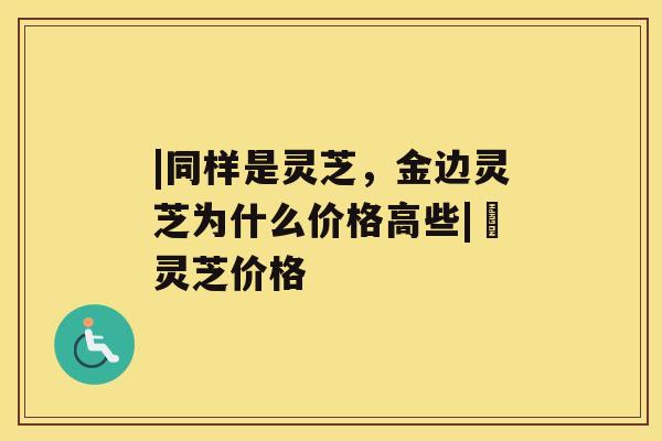 |同样是灵芝，金边灵芝为什么价格高些|艼灵芝价格