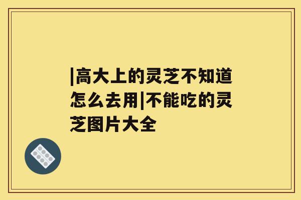 |高大上的灵芝不知道怎么去用|不能吃的灵芝图片大全 |高大上的灵芝不知道怎么去用|不能吃的灵芝图片大全