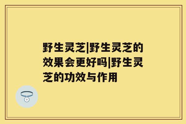 野生灵芝|野生灵芝的效果会更好吗|野生灵芝的功效与作用 野生灵芝|野生灵芝的效果会更好吗|野生灵芝的功效与作用