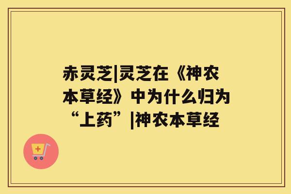 赤灵芝|灵芝在《神农本草经》中为什么归为“上药”|神农本草经 赤灵芝|灵芝在《神农本草经》中为什么归为“上药”|神农本草经