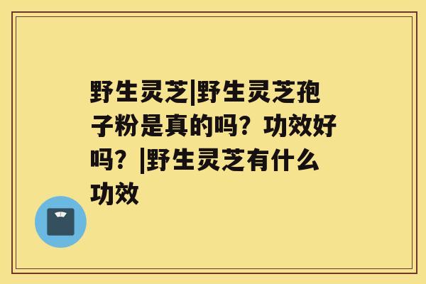 野生灵芝|野生灵芝孢子粉是真的吗?功效好吗?|野生灵芝有什么功效 野生灵芝|野生灵芝孢子粉是真的吗?功效好吗?|野生灵芝有什么功效