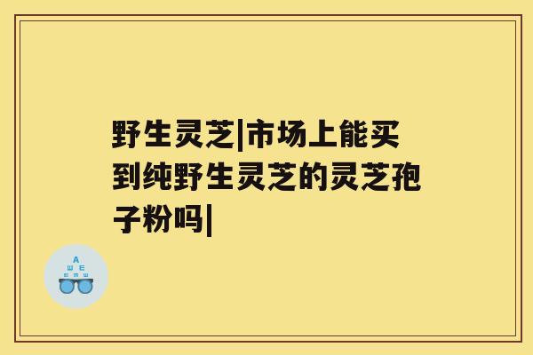 野生灵芝|市场上能买到纯野生灵芝的灵芝孢子粉吗| 野生灵芝|市场上能买到纯野生灵芝的灵芝孢子粉吗|