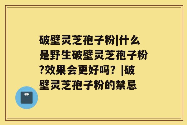 破壁灵芝孢子粉|什么是野生破壁灵芝孢子粉?效果会更好吗?|破壁灵芝孢子粉的禁忌 破壁灵芝孢子粉|什么是野生破壁灵芝孢子粉?效果会更好吗?|破壁灵芝孢子粉的禁忌