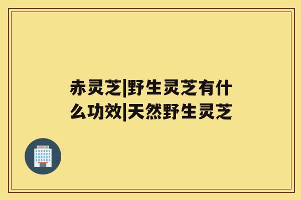 赤灵芝|野生灵芝有什么功效|天然野生灵芝 赤灵芝|野生灵芝有什么功效|天然野生灵芝